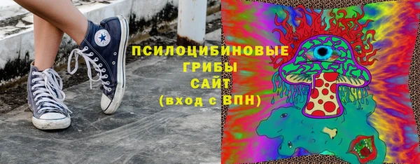 не бодяженный Осташков