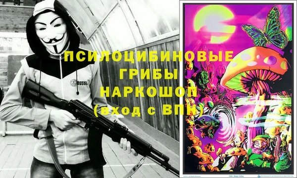не бодяженный Осташков