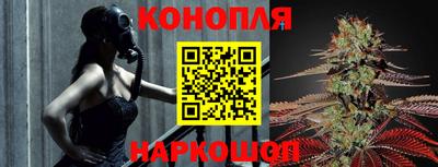 тгк Волгодонск